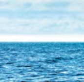 Sea logo